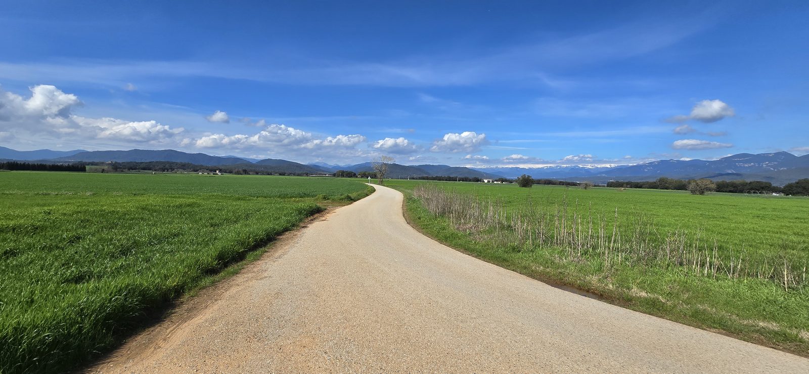 An empty country road running between fields